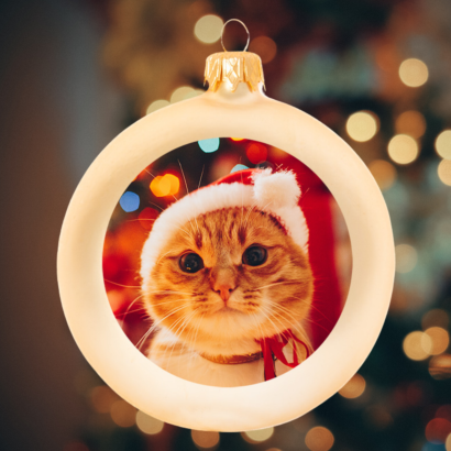 Weihnachtskugeln Gold seidenmatt - Individuell Bedruckt